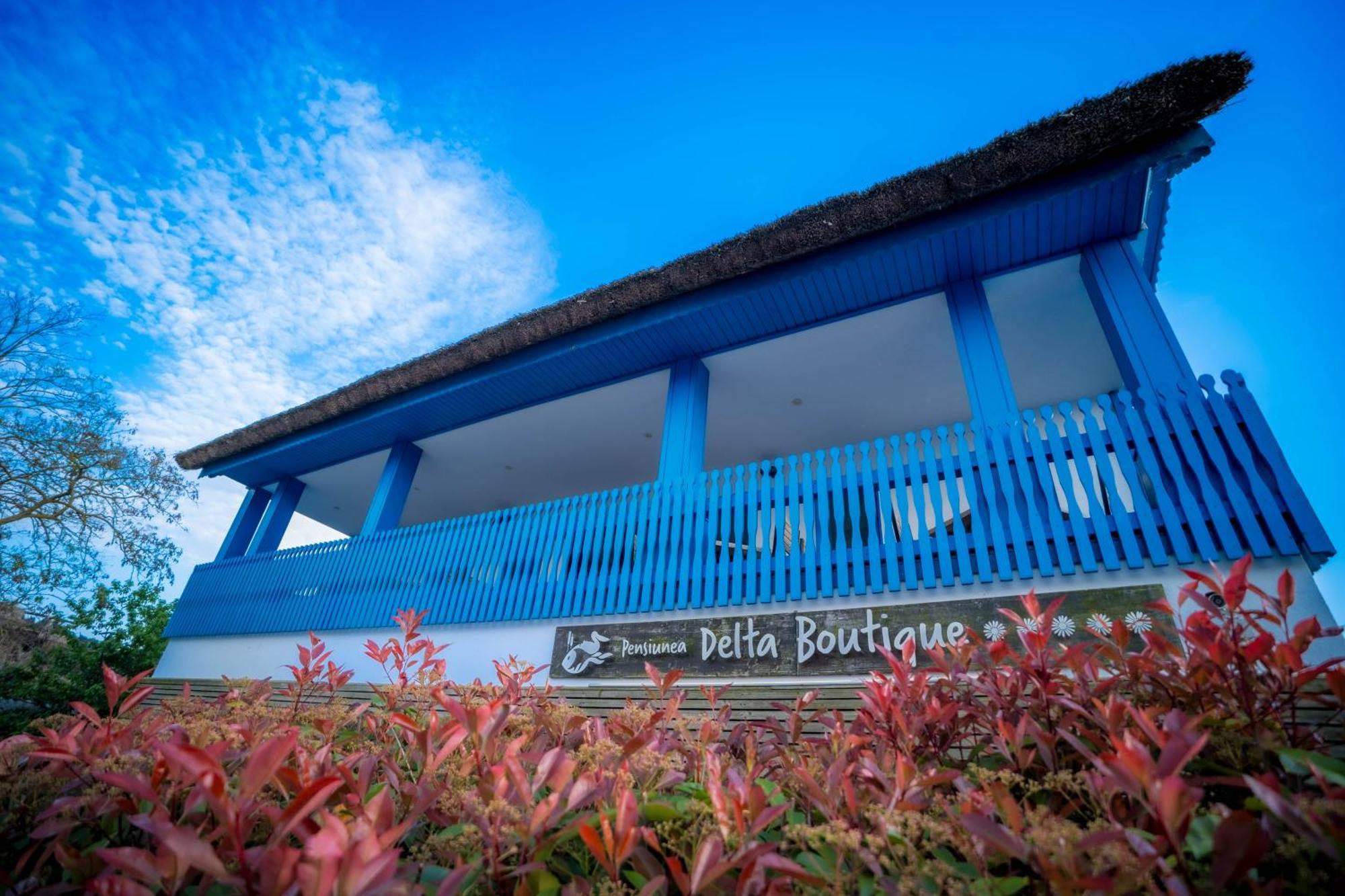 Delta Boutique & Carmen Silva Resort Crișan Zewnętrze zdjęcie