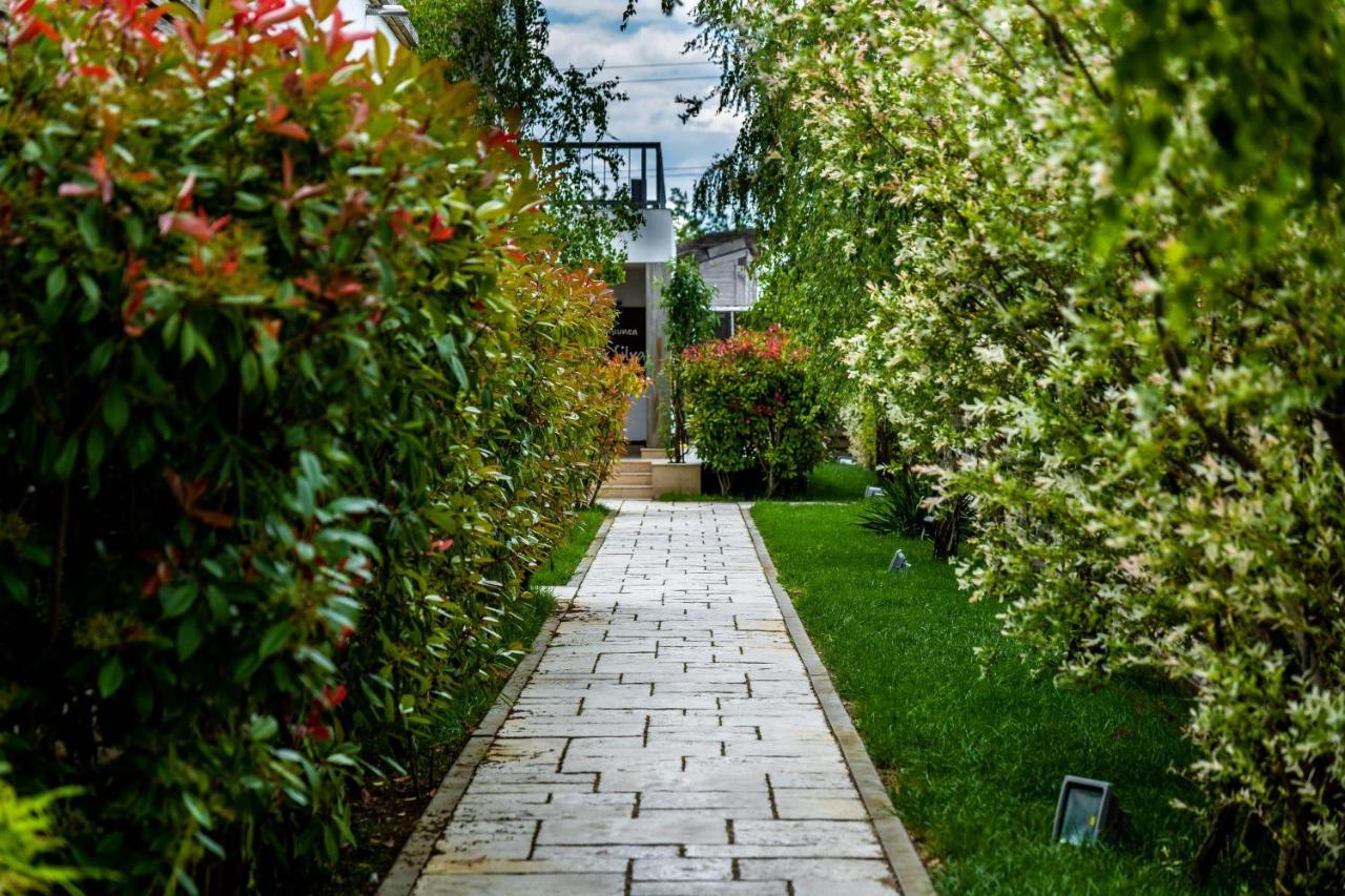 Delta Boutique & Carmen Silva Resort Crișan Zewnętrze zdjęcie